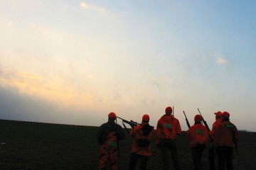 group